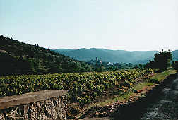 apartment in winery for rent in South of France, Languedoc