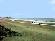 beach between Agde and Sete